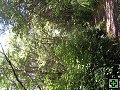 thn_NZ leden-unor 2006 152.jpg